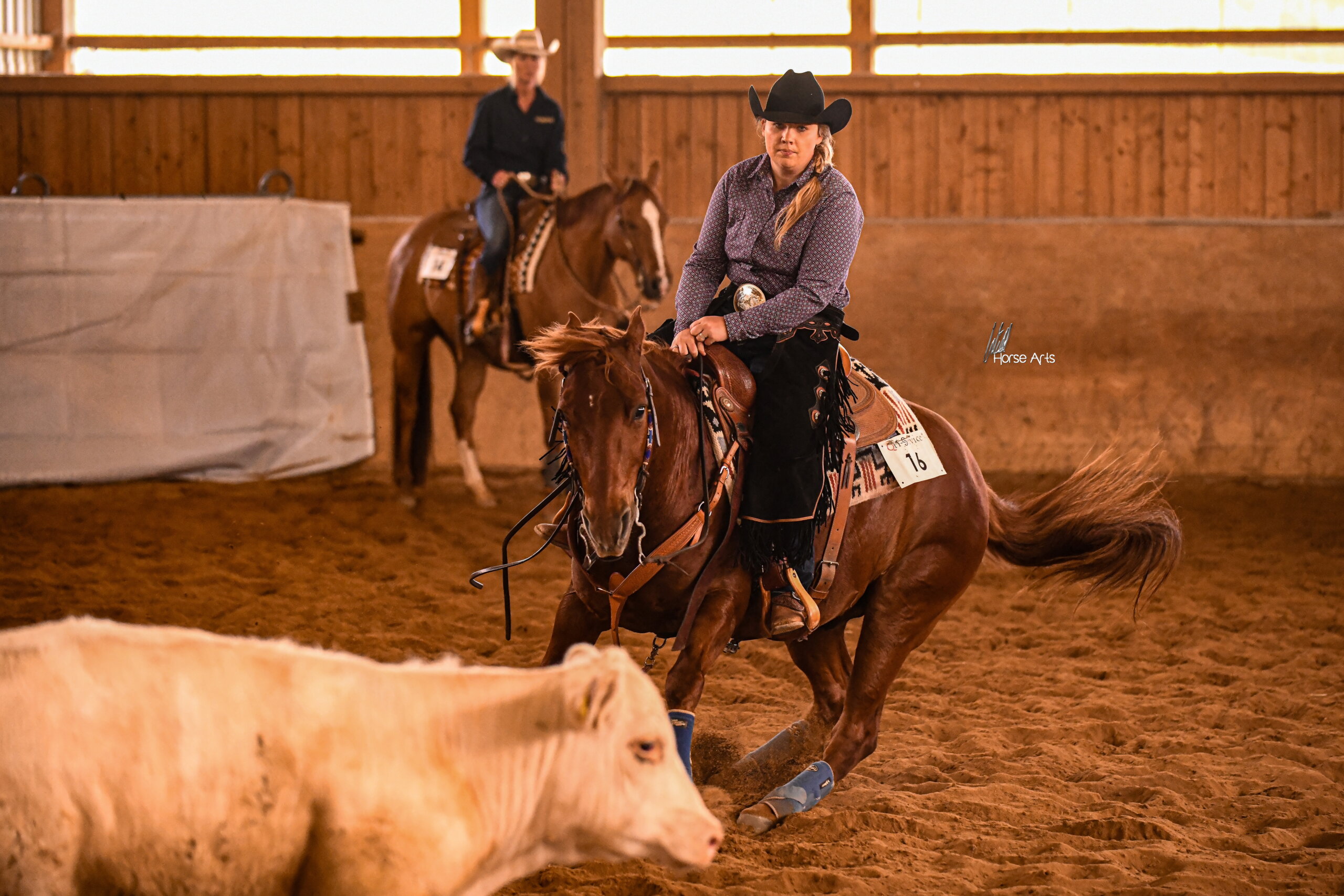 photo-concours-VRH-Julie-1-scaled